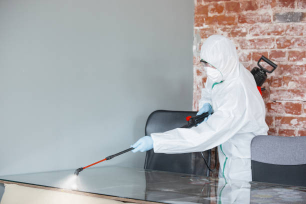 Seminole, FL Mold Removal Services Company